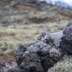 Day 10: Western Iceland