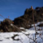 Day 7: Northern Iceland (Lake Myvatn Area)